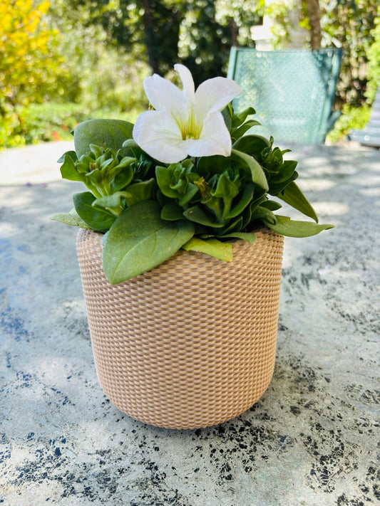 Jardinière murale suspendue en tissu tressé